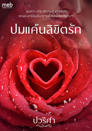 ปมแค้นลิขิตรัก (หนังสือเสียง)