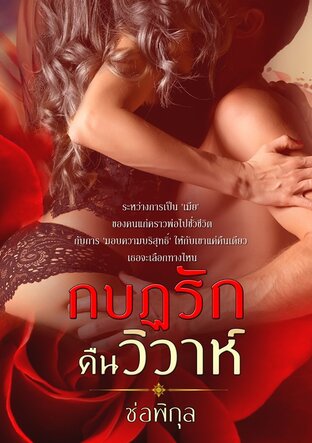 กบฏรักคืนวิวาห์ (หนังสือเสียง)