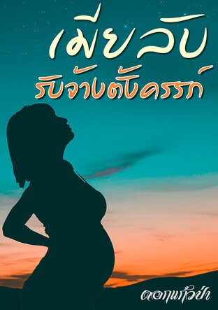 เมียลับ รับจ้างตั้งครรภ์ (หนังสือเสียง)