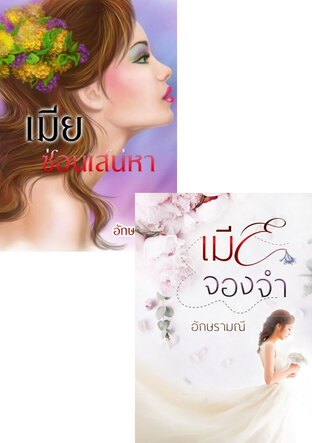 SET หนังสือเสียง เมียซ่อนรัก