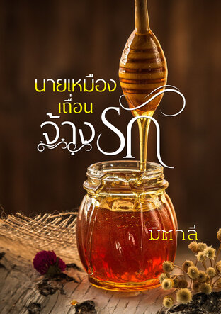 นายเหมืองเถื่อนจ้างรัก (หนังสือเสียง)