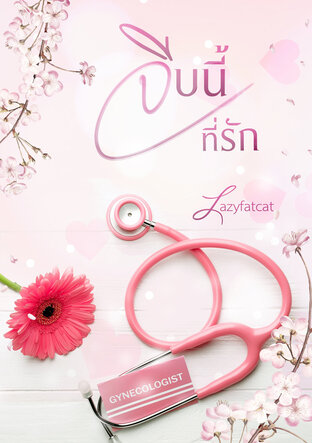 จีบนี้ที่รัก (หนังสือเสียง)