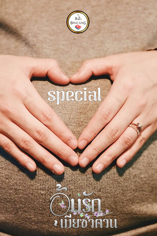 อุ้มรักเมียซาตาน (special) (หนังสือเสียง)