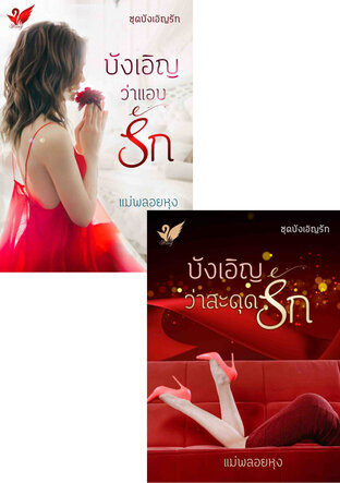 SET หนังสือเสียง บังเอิญรัก