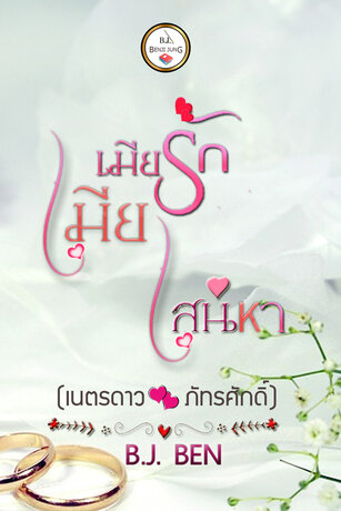 เมียรักเมียเสน่หา (เนตรดาว+ภัทรศักดิ์) (หนังสือเสียง)