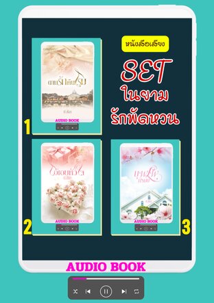 SET นวนิยายชุด ในยามรักพัดหวน (หนังสือเสียง)