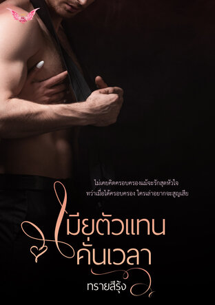 เมียตัวแทนคั่นเวลา (หนังสือเสียง)