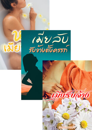 SET หนังสือเสียง เมียรับจ้าง,เมียบำเรอ,เมียลับ