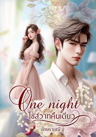 One night โซ่สวาทคืนเดียว (หนังสือเสียง)