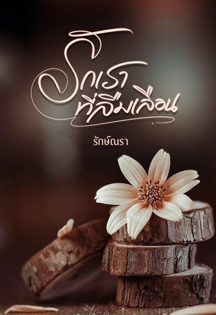 รักเราที่ลืมเลือน (หนังสือเสียง)