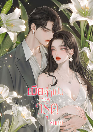 เมียจำเป็นของวรุต (หนังสือเสียง)