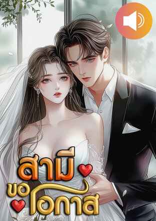 สามีขอโอกาส (หนังสือเสียง)