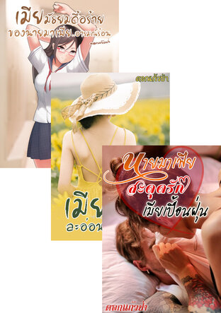 SET หนังสือเสียง เมียเปื้อนฝุ่น,เมียละอ่อน,เมียมัธยม