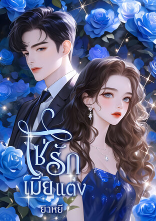 โซ่รักเมียแต่ง (หนังสือเสียง)