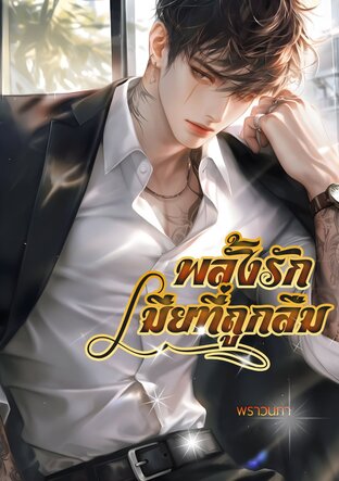 พลั้งรักเมียที่ถูกลืม (หนังสือเสียง)