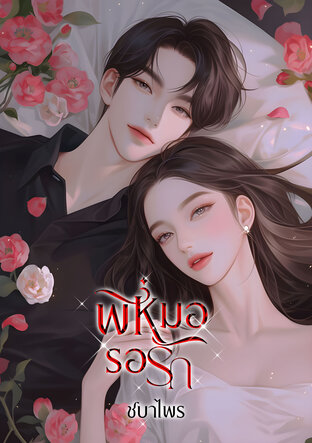 พี่หมอ รอรัก (หนังสือเสียง)