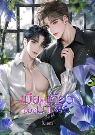 เมียคืนเดียวของมาเฟีย Mpreg (หนังสือเสียง)