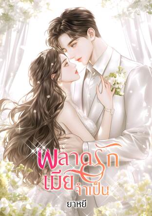 พลาดรักเมียจำเป็น (หนังสือเสียง)