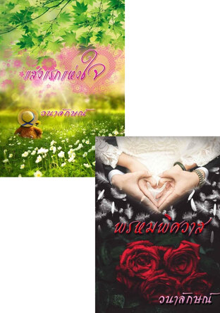 SET หนังสือเสียง ใจยังปรารถนา