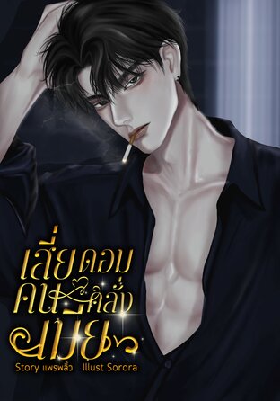 เสี่ยดอมคนคลั่งเมีย (หนังสือเสียง)