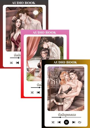 SET หนังสือเสียง ซีรีส์บังเอิญ